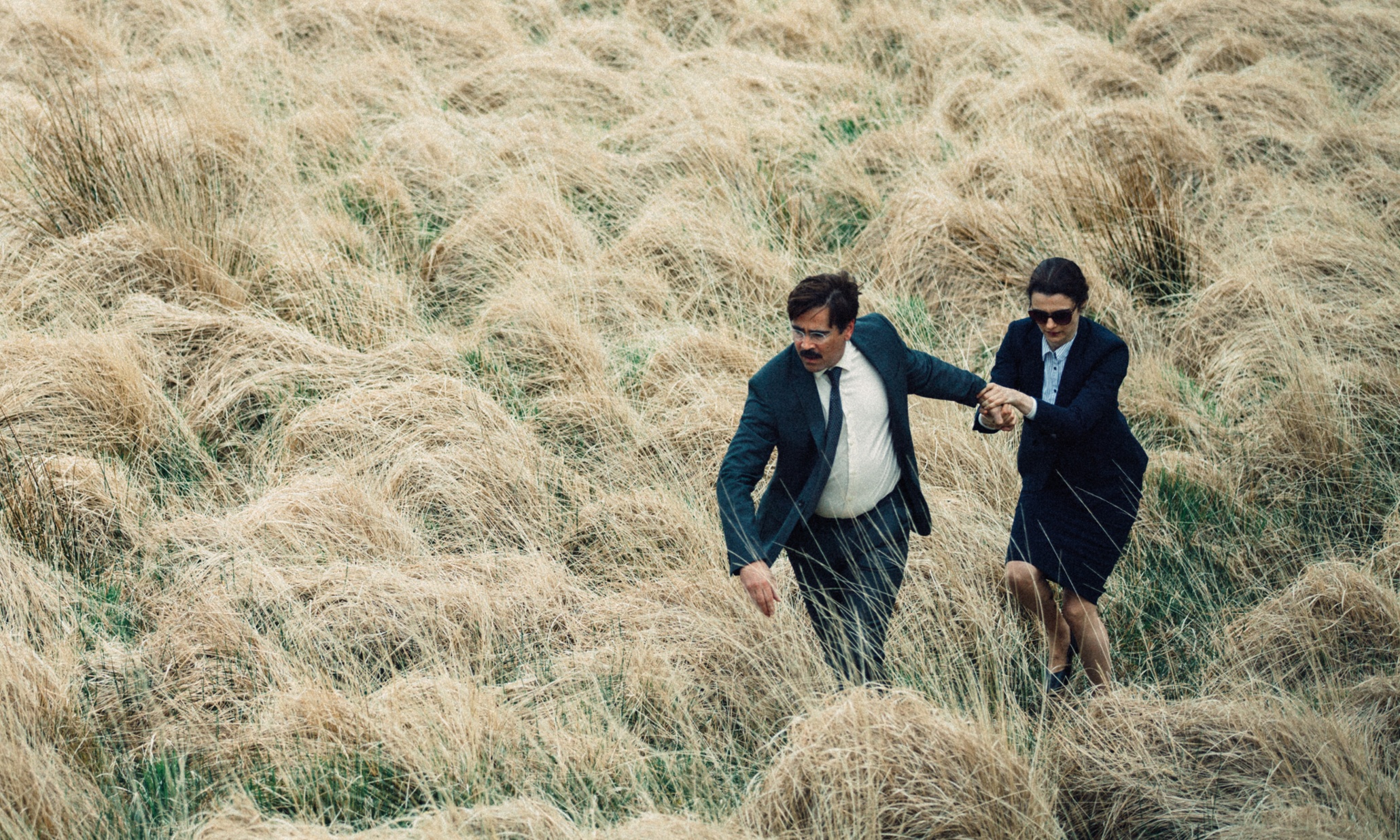 The Lobster movie
