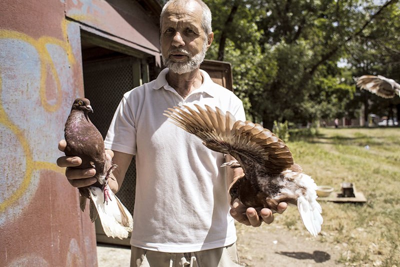 Pigeon fan Yury Shevchenko shows two pigeons out of 50 birds that he keeps in a metal hut in the yard of his apartment house in Avdiyivka on July 10.