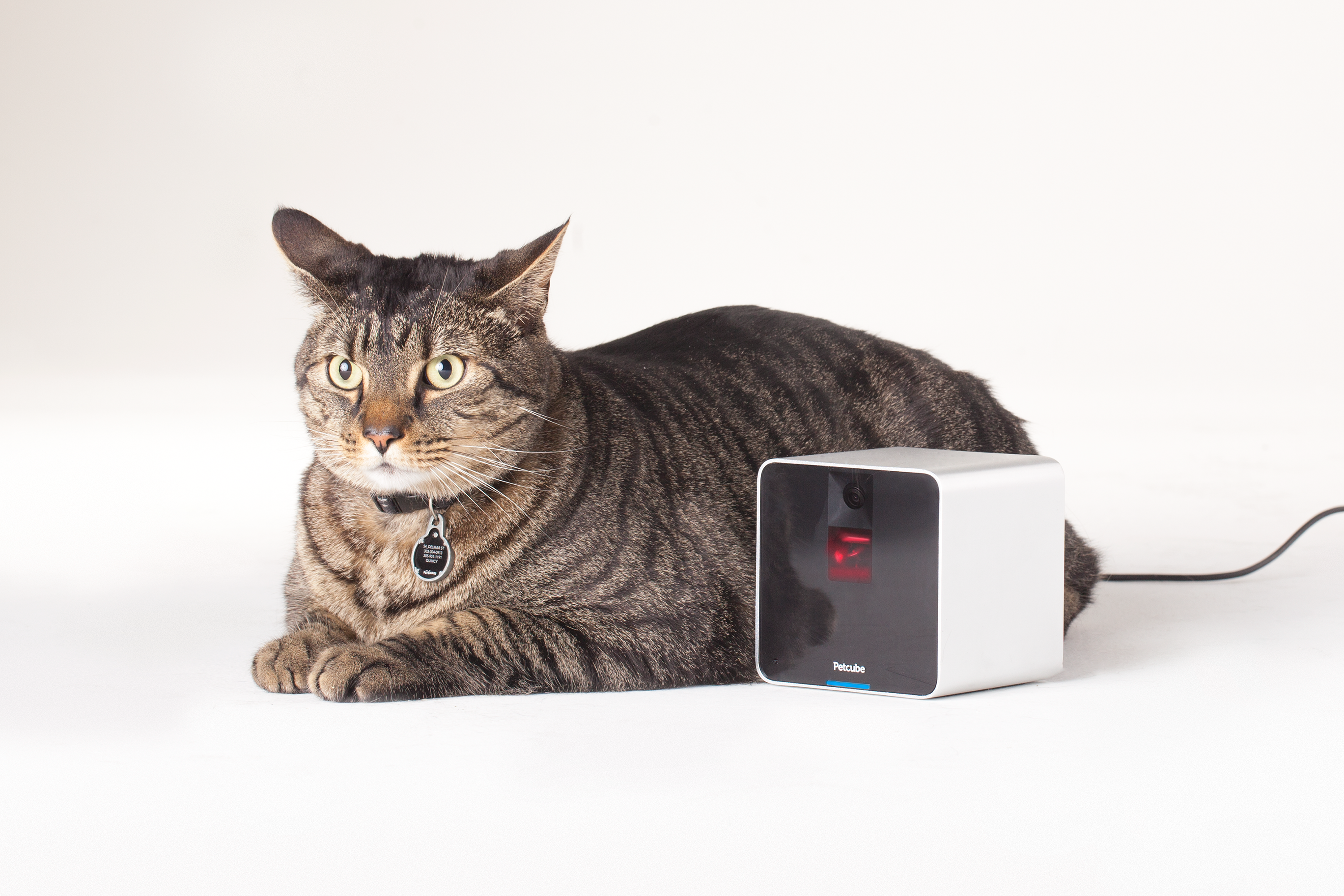 Investors give startup 3.8 million to develop pet monitoring