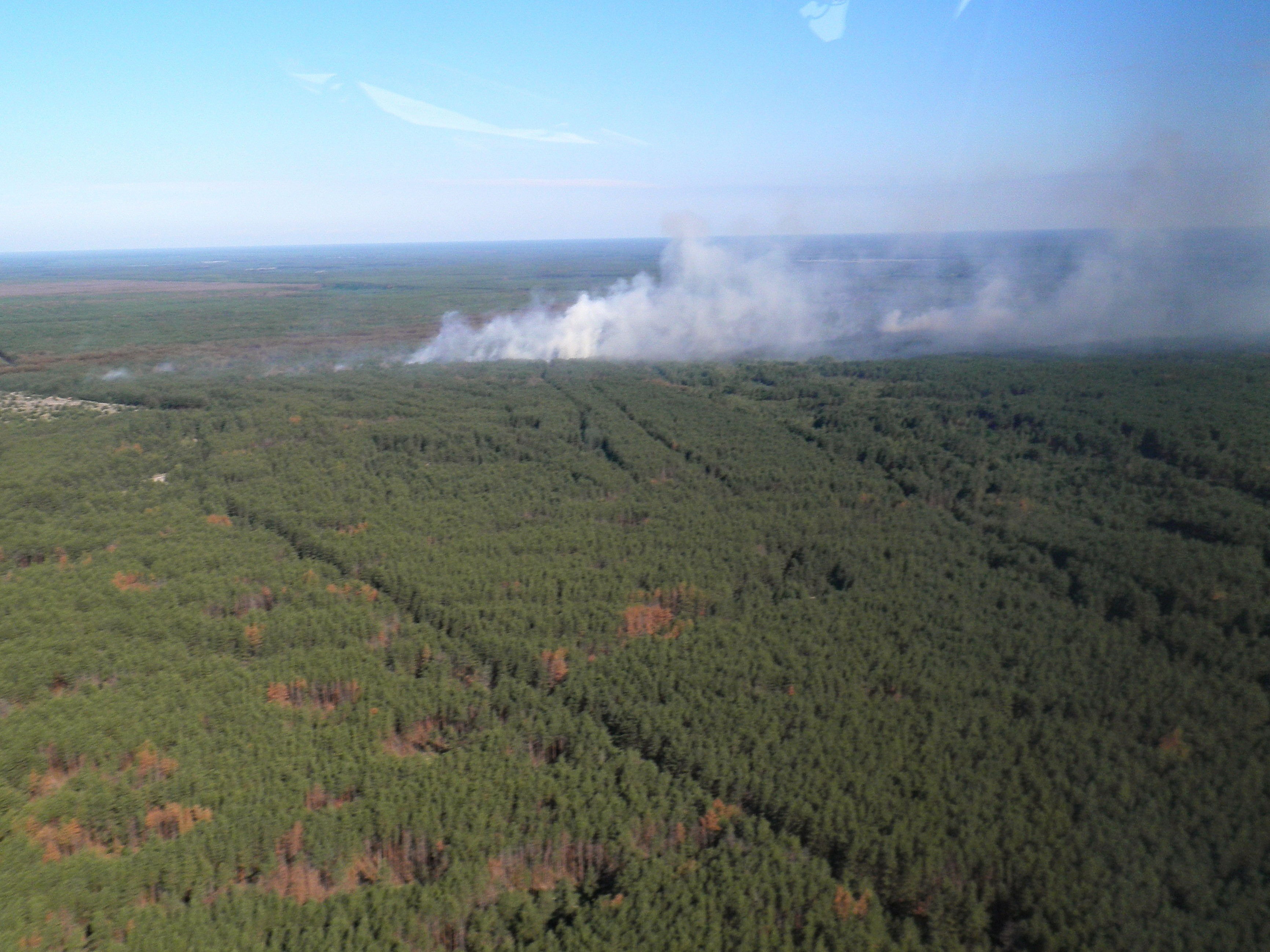 A forest fire broke out in the Chornobyl zone on June 29, and is still burning but poses no threat to the disaster-struck nuclear plant, firefighters said on June 30.