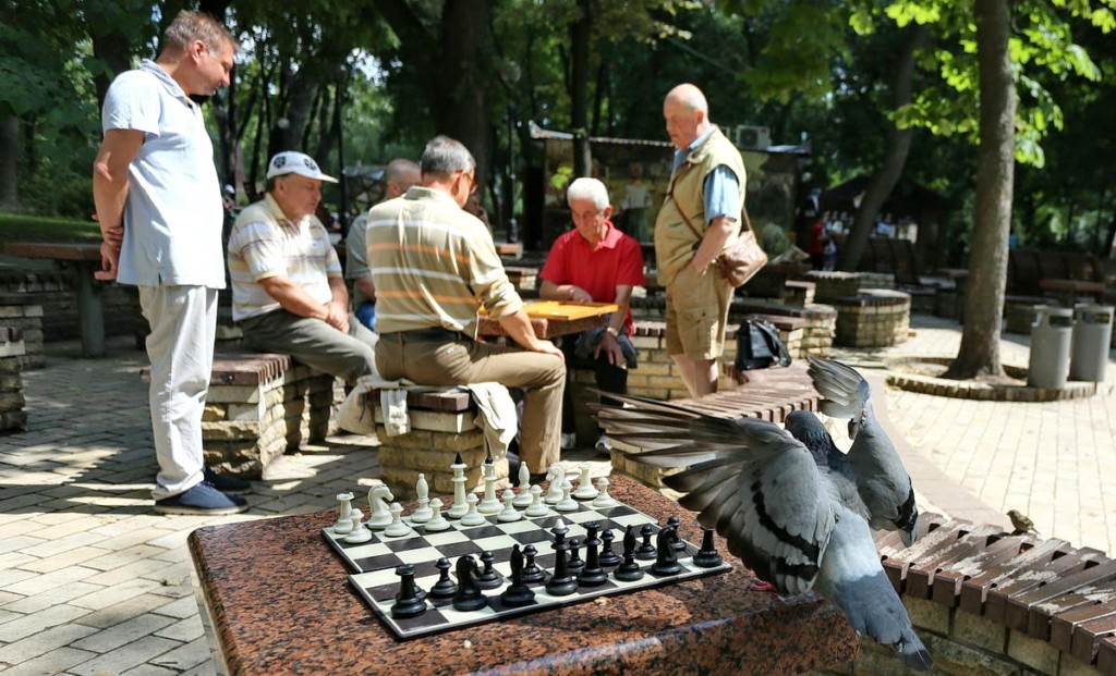 A pigeon lends by a chess board as onlookers watch another game being played in the Taras Shevchenko Park in Kyiv on July 3.