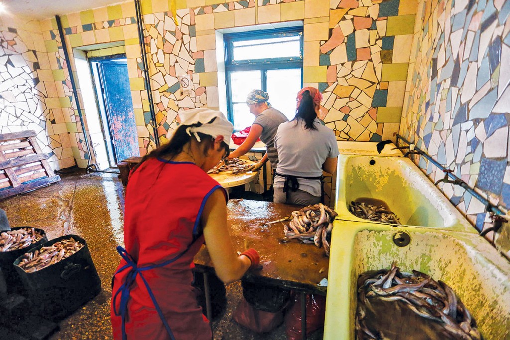 Workers wash fish that is to be served to detainees of the Lukyanivsky detention center in Kyiv on Aug. 1. 