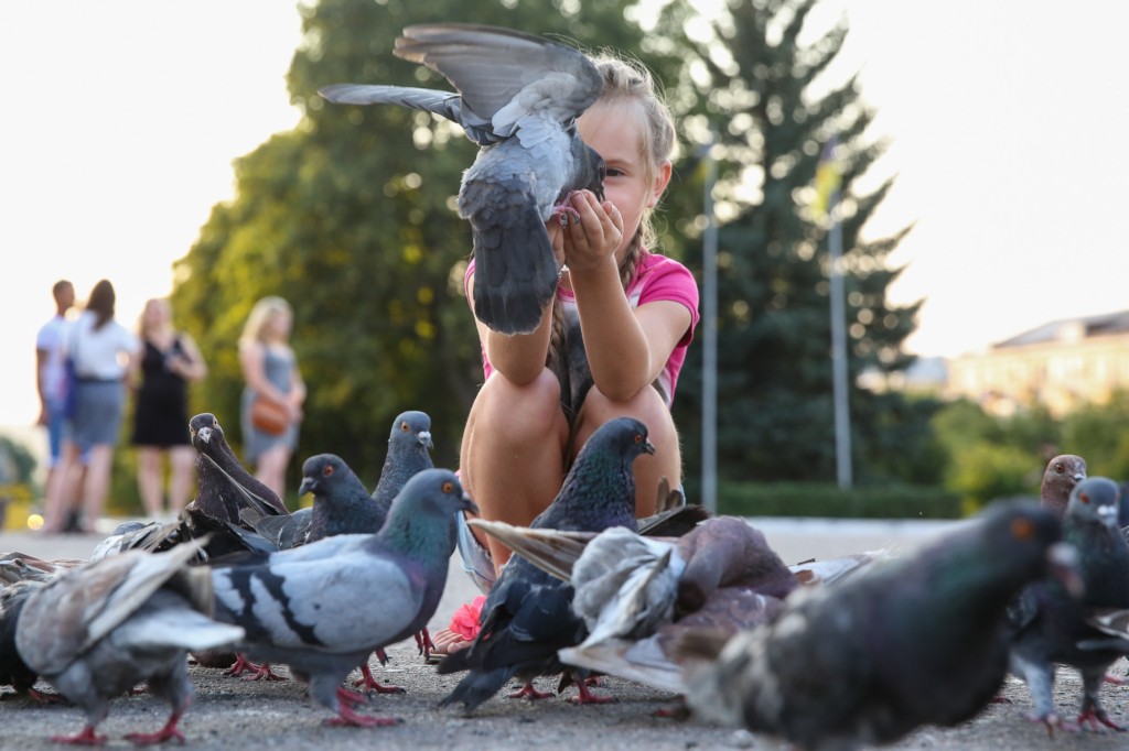 A girl feeds pigeons on the Peace Square in Kramatorsk on Aug. 14. 2017.