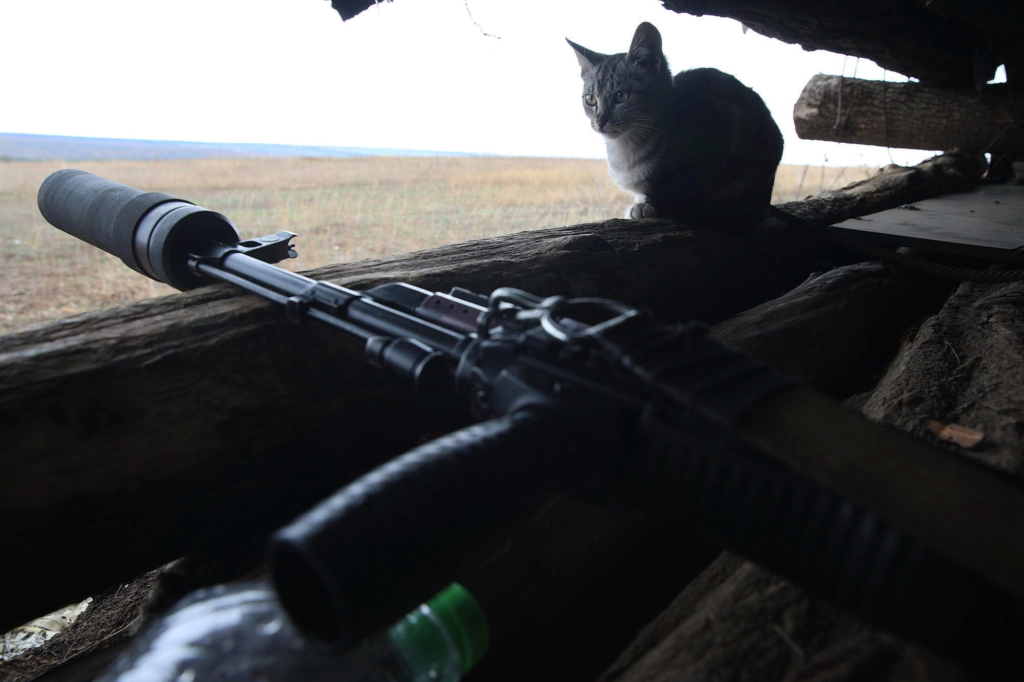 A cat sits on a gunslot of a Ukrainian forwarded observation point manned by the Donbas-Ukraine special forces battalion soldiers amd located near the frontline town of Chermalyk on Oct. 12.