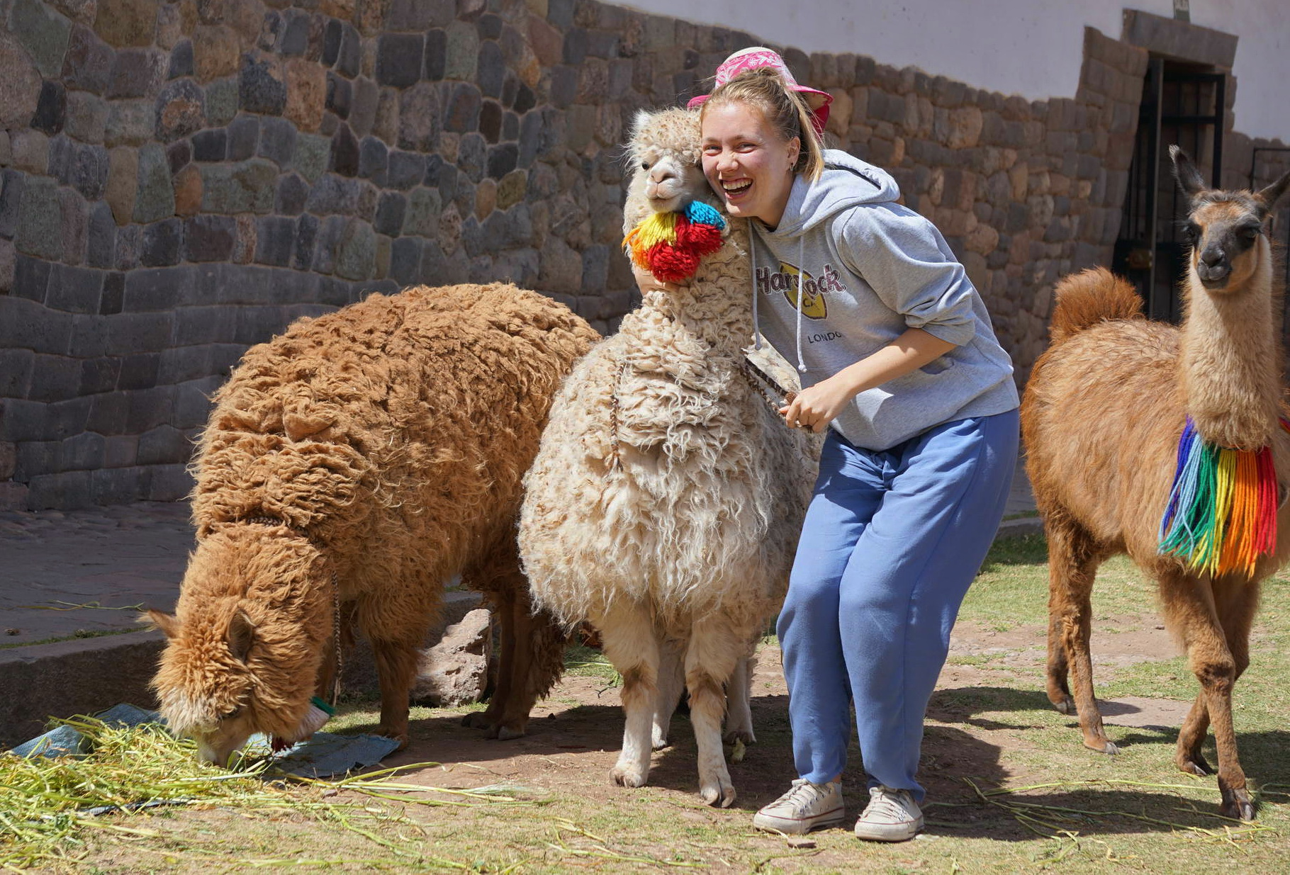 Valeriia Kuznetsova poses with lamas in the center of Cusco, Peru on July 21. (Courtesy)
